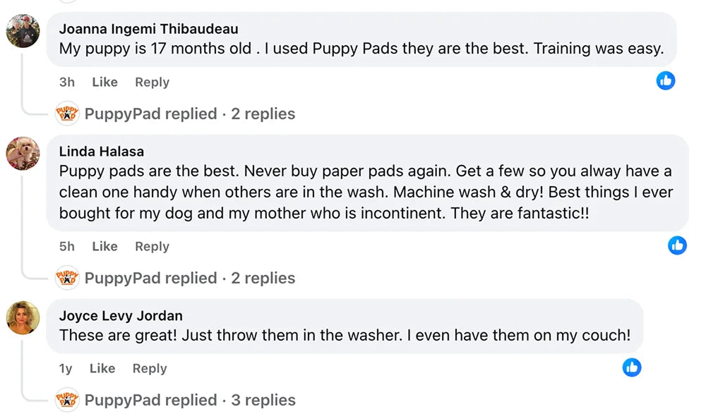 Customer review 1