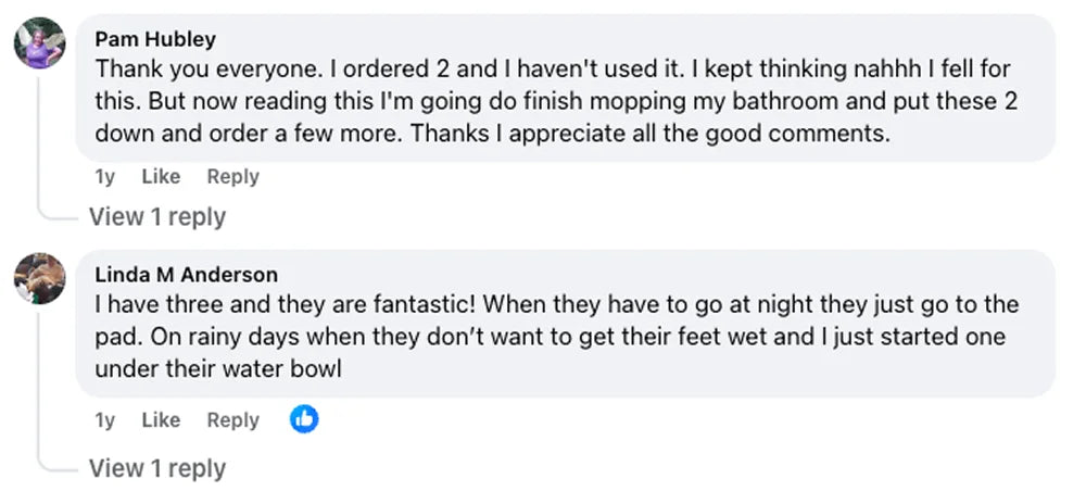 Customer review 11