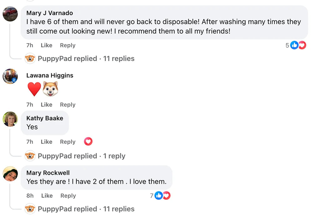 Customer review 12