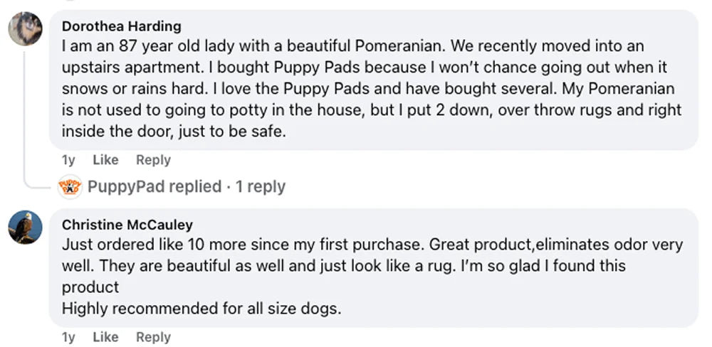 Customer review 3