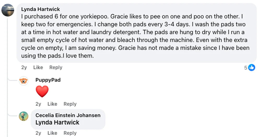 Customer review 4