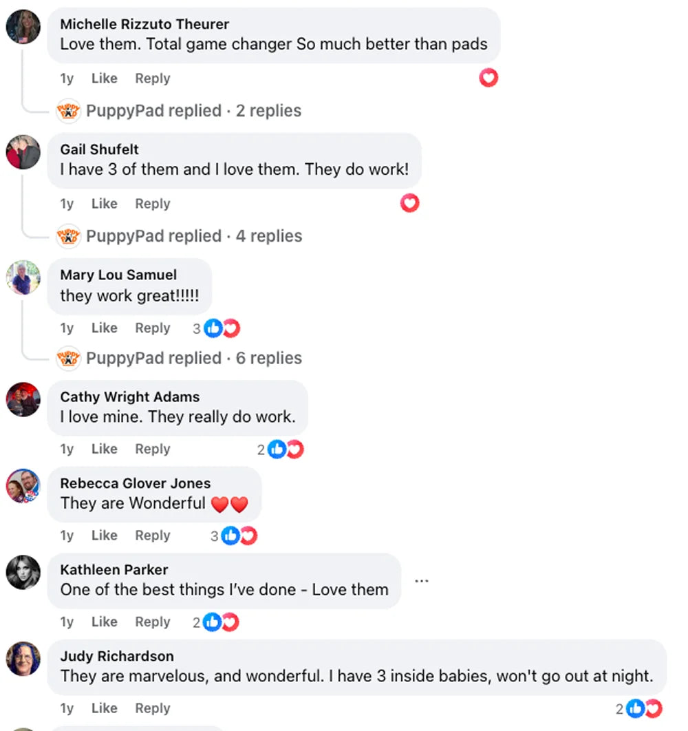 Customer review 5