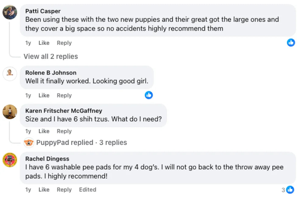 Customer review 6