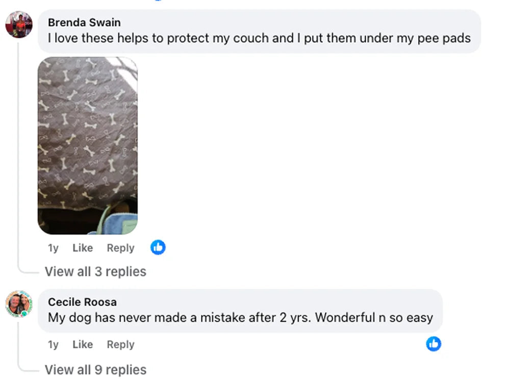 Customer review 7