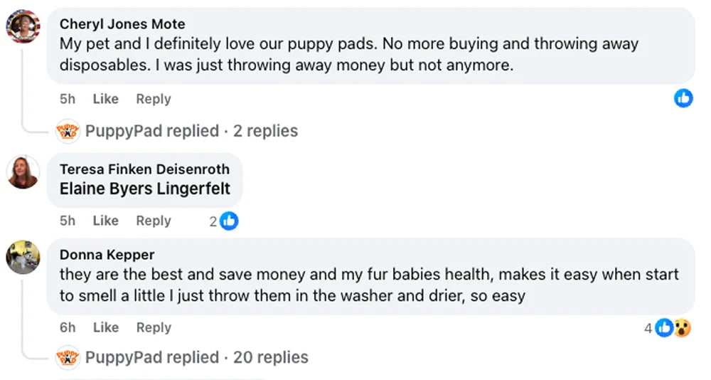 Customer review 8