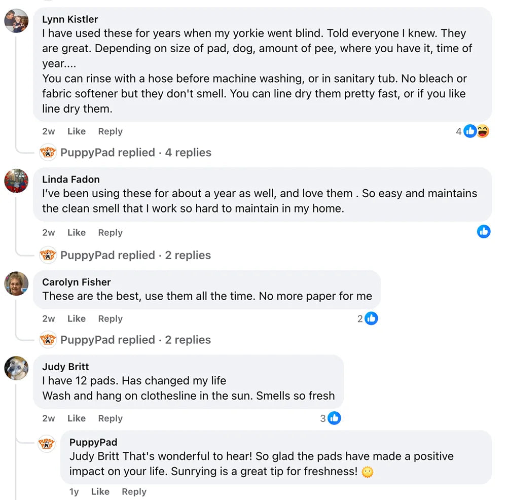 Customer review 9